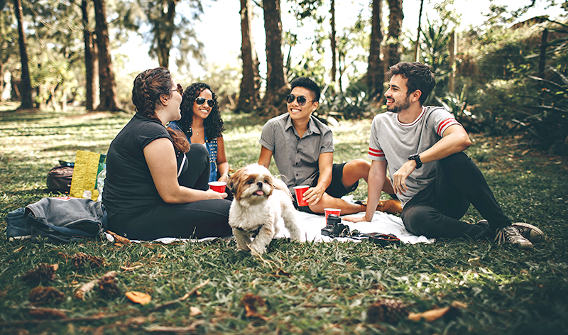 Picnic with friends and a dog